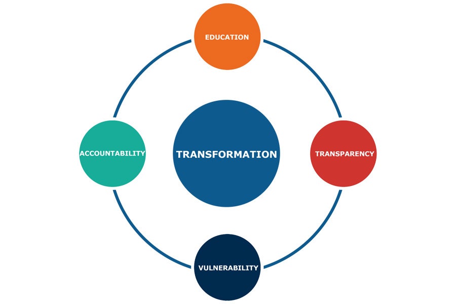 DEI graphic